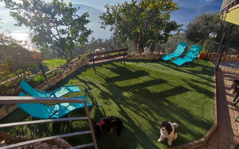 Apartment Malva 1 Photo 07