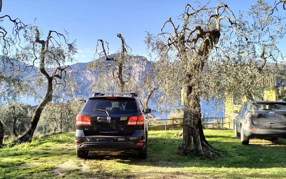 Apartment Malva 2 Photo 10