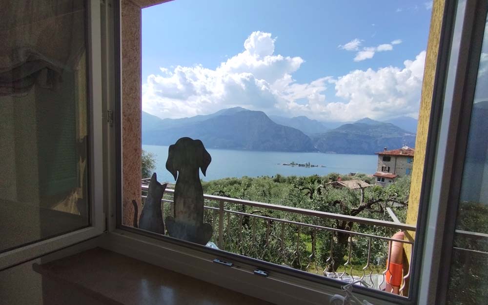 Appartamento Malva 1 Foto 04